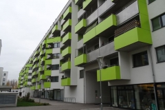 DSC04355